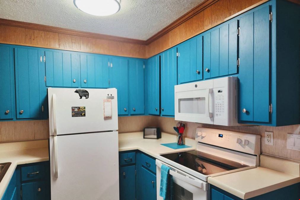 1102 Ski View Dr Unit 208