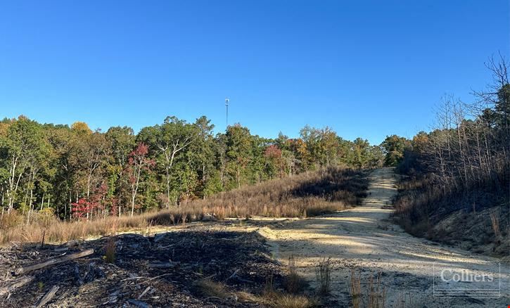 ±120.19-Acre Timber & Recreational Tract Available | Winnsboro, SC