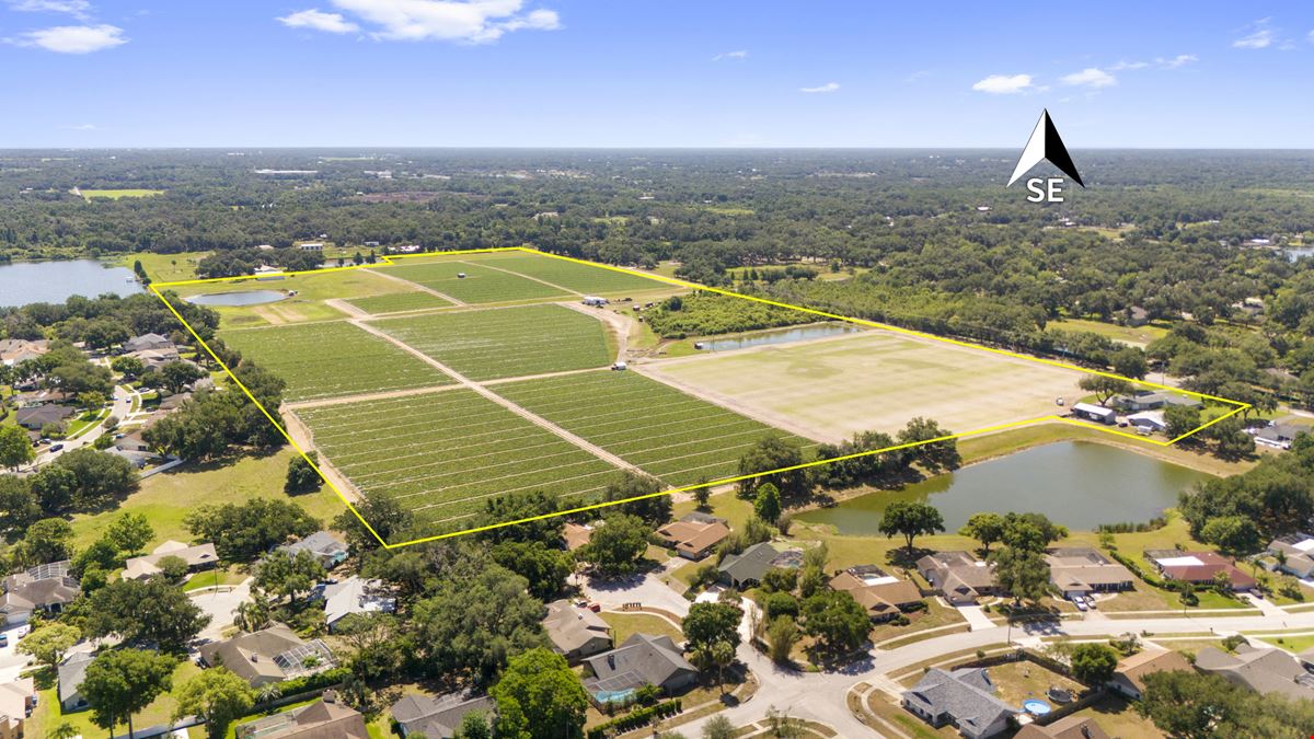 Old Hillsborough Lakefront Development
