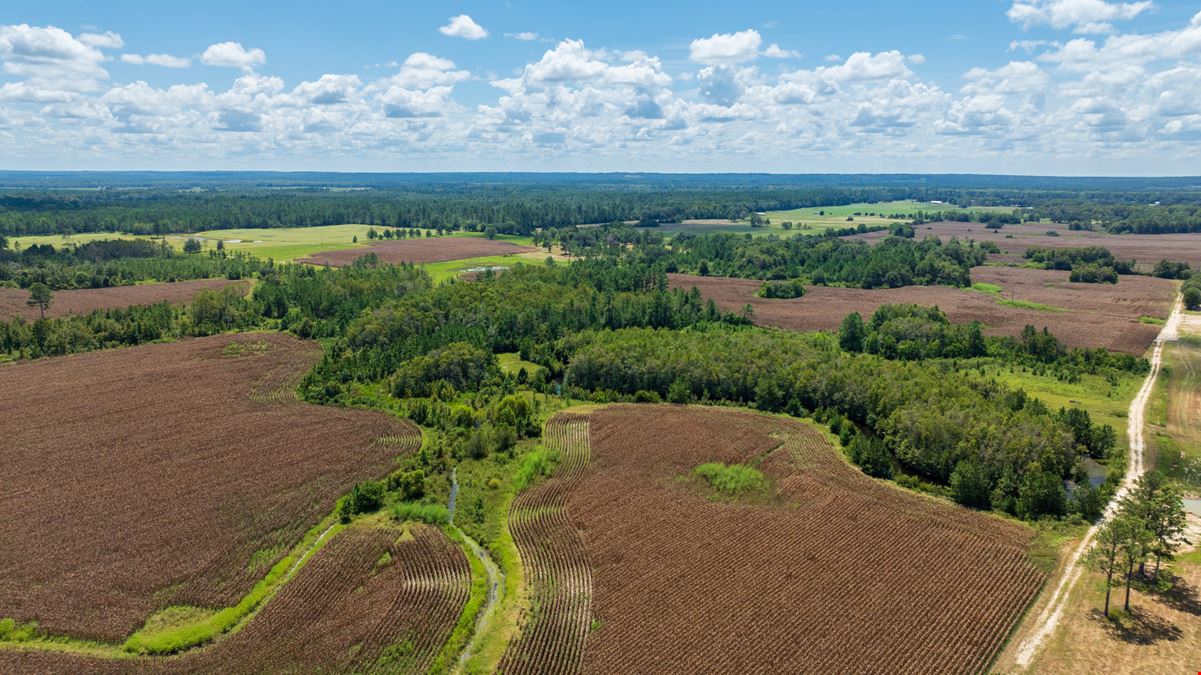 Panhandle Farm and Timberland