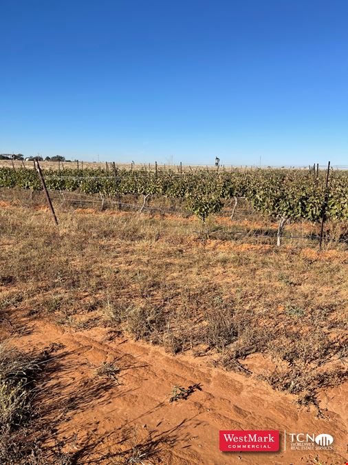 105.21 Acre Hockley Co., TX Vineyard & Development Land
