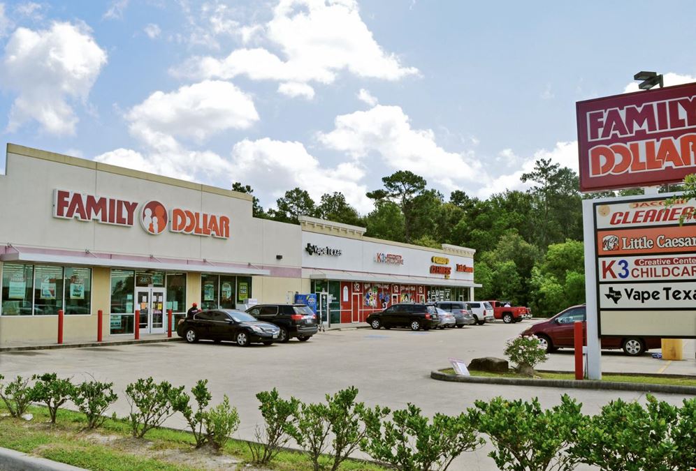North Hosuton Plaza