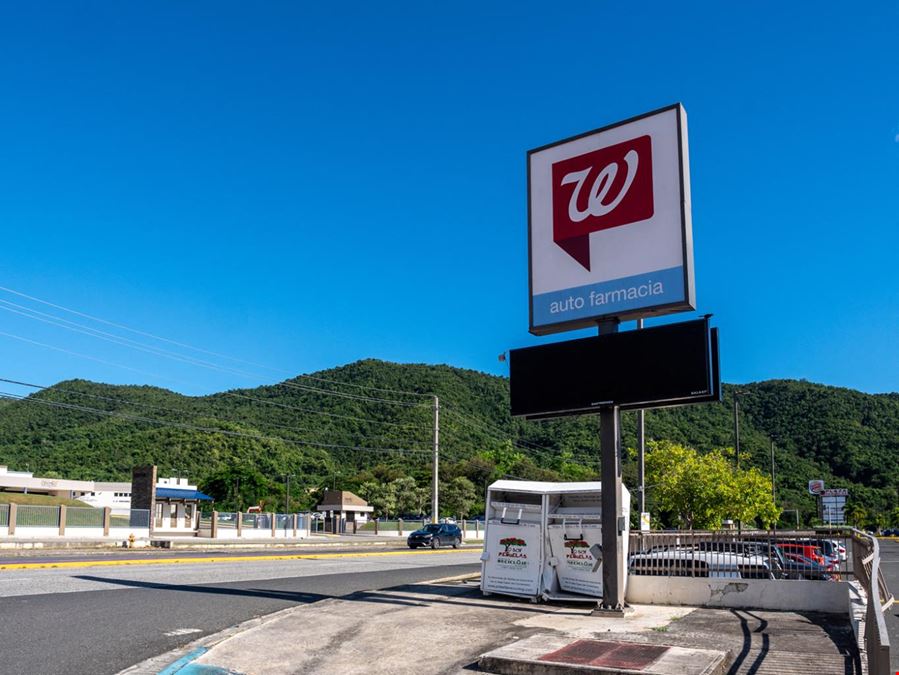 Walgreens Store #9118 in Peñuelas