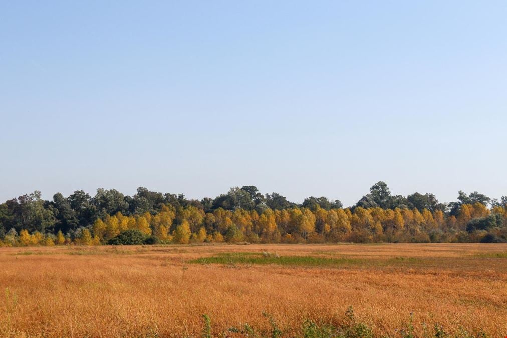 5533 126th Avenue- 2 parcels (11.14 Acres)