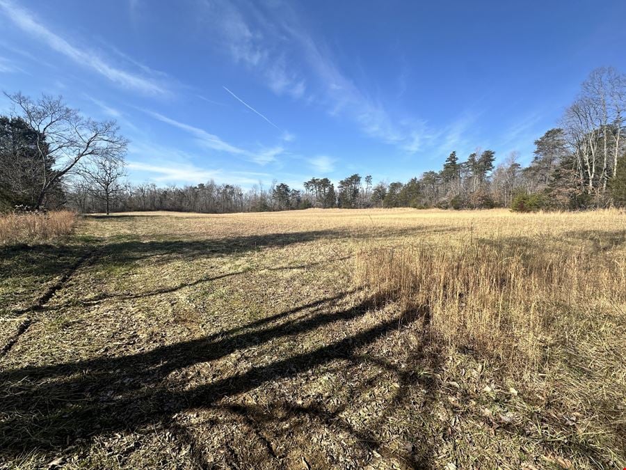 Published Reserve Auction of 53 Acres, with Lakefront, on Lake