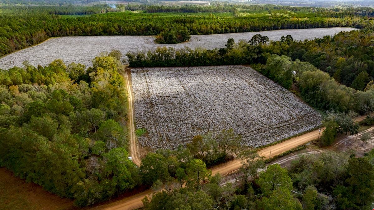 Old Magnolia Farm