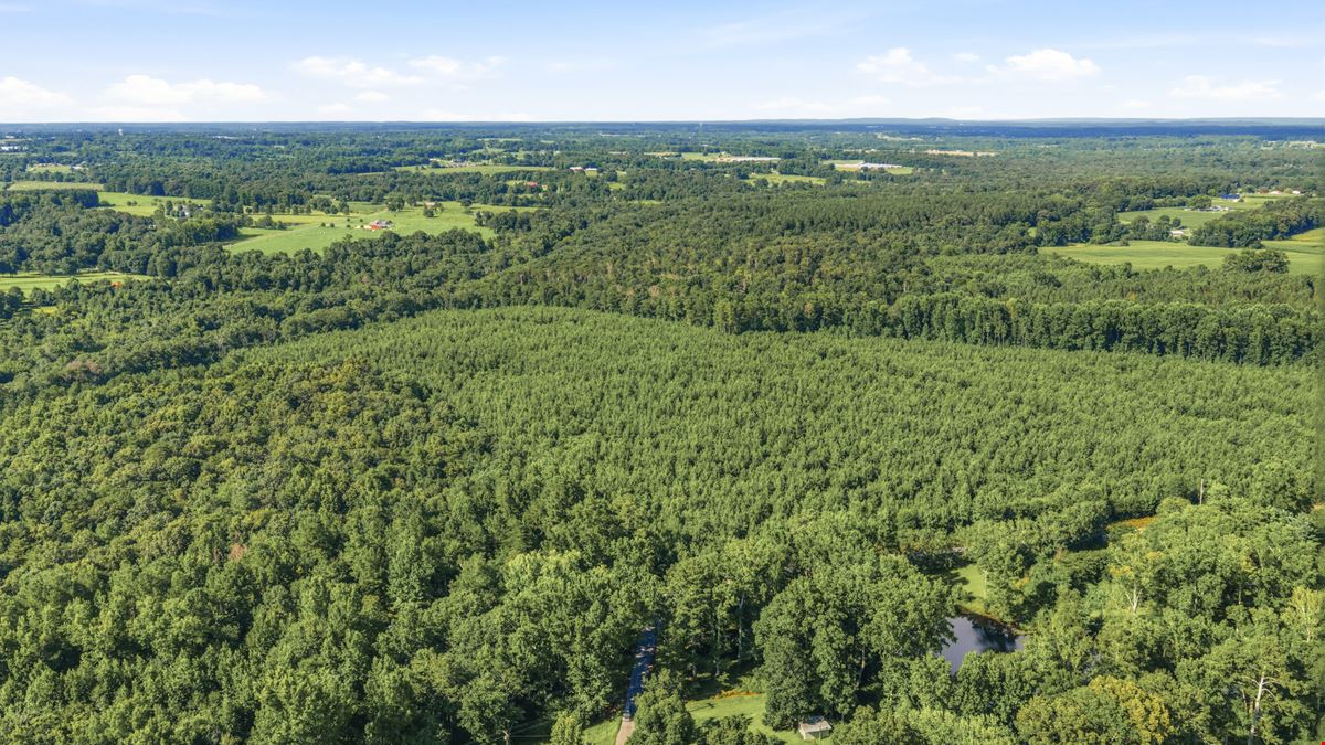 Town Creek Timber 40 Acres