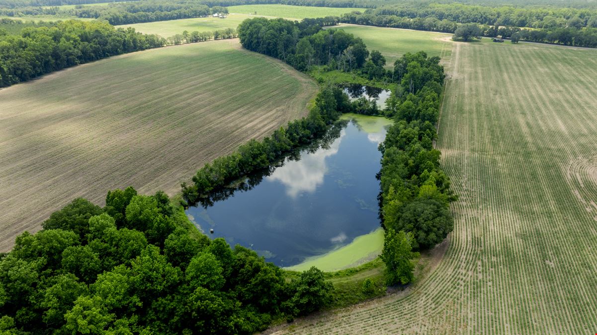 Sunbury Farm