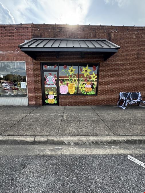 Oneonta Retail Investment