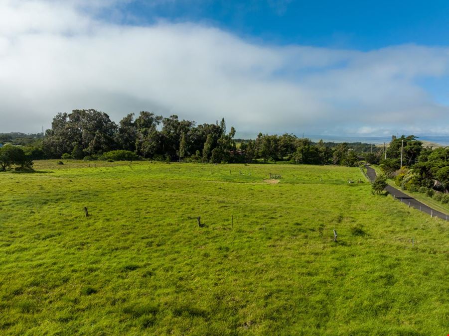 Waimea Residential Development