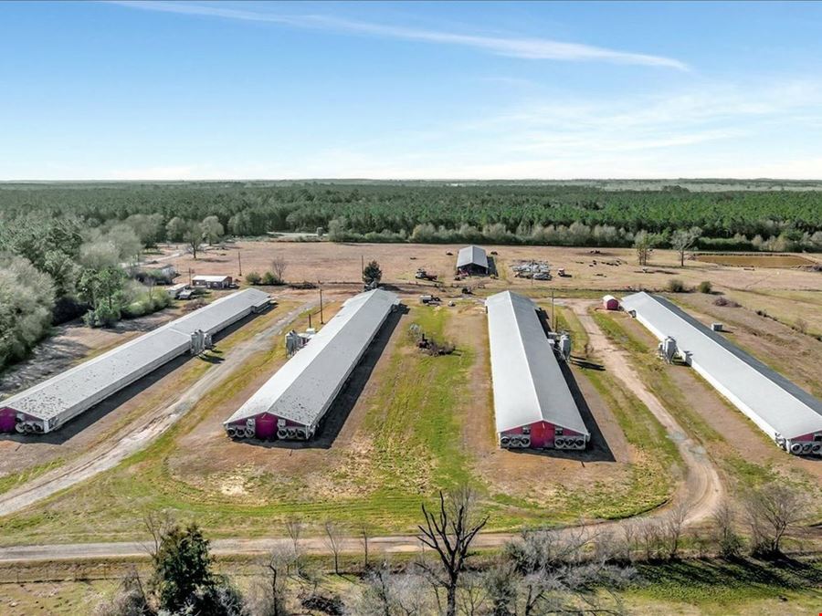 Breeder Farm In Marshall