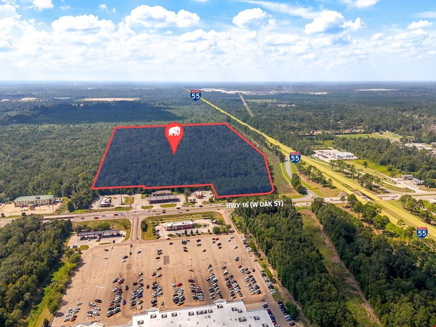 Up to 77.34 Acres with Interstate Frontage on I-55