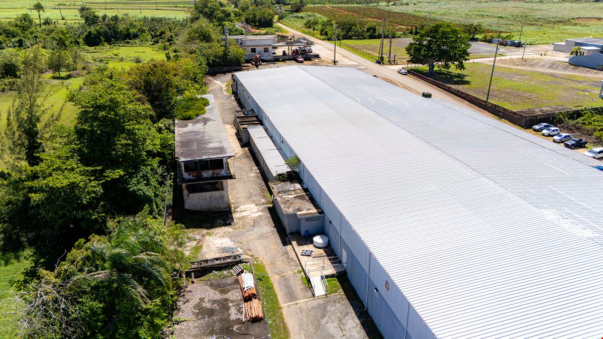 Isabela Industrial Warehouse - FOR LEASE