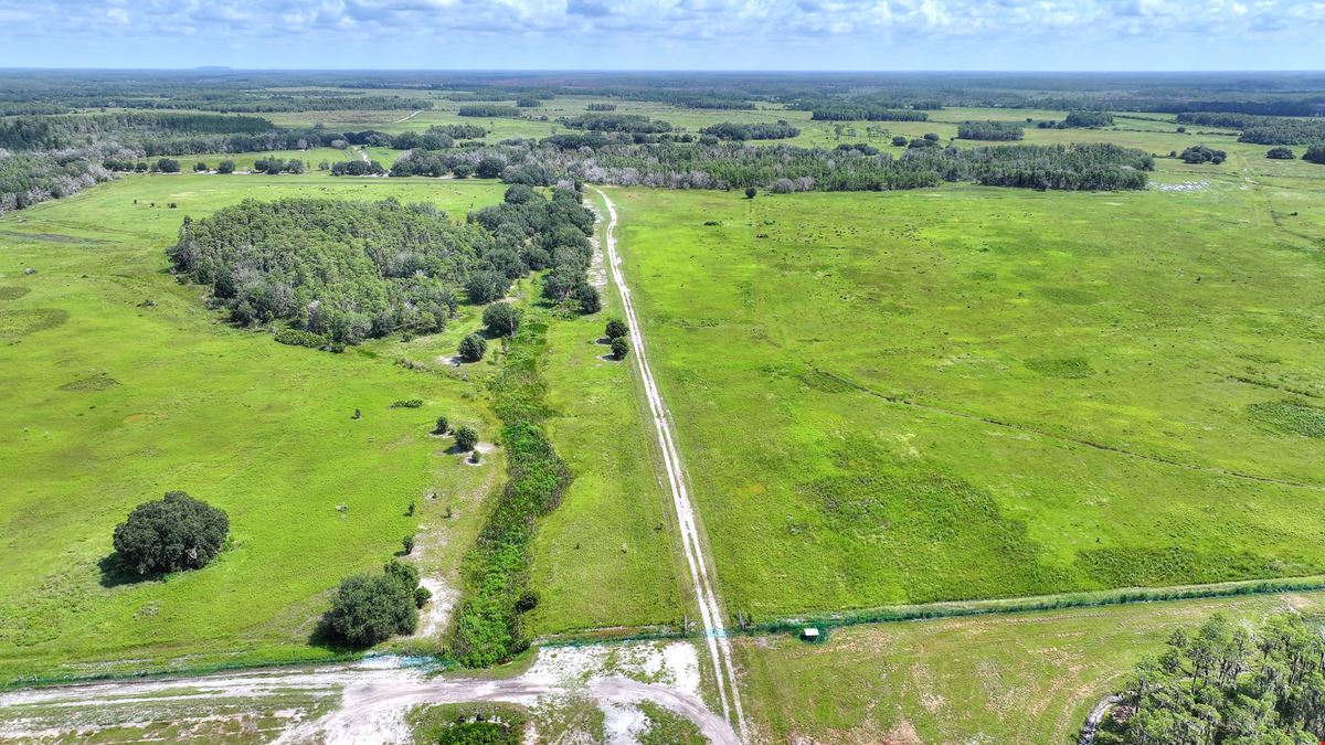 Osceola County Hunting & Recreational Tract
