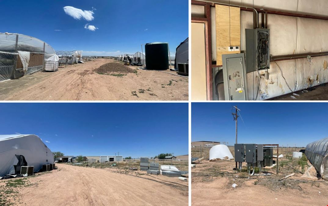 160 Acre Cultivation Farm With Turnkey Infrastructure