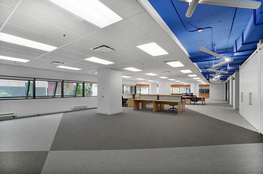 425 de Maisonneuve