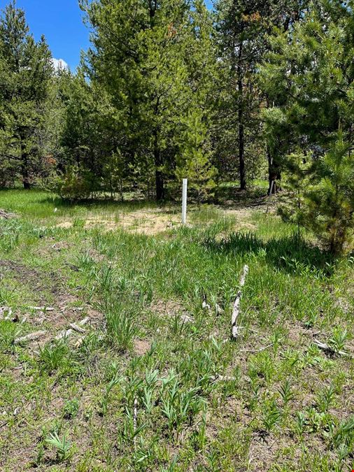13480 & TBD Gunsmoke Rd
