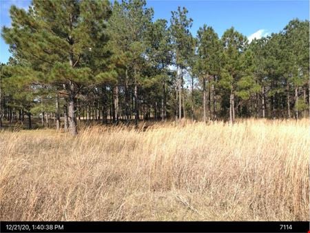 Preview of Other space for Sale at US Highway 19 S
