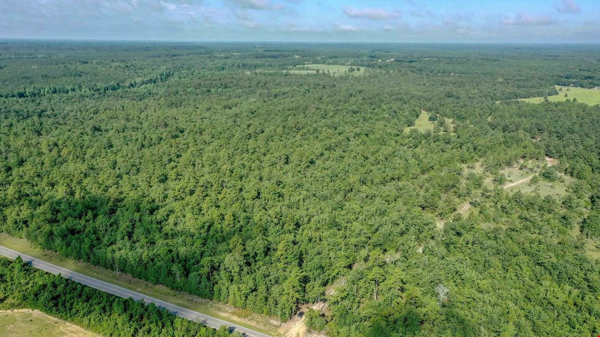 111+/- Acres of Recreational Tract Geared for Hunting on the Aiken and Barnwell County Line