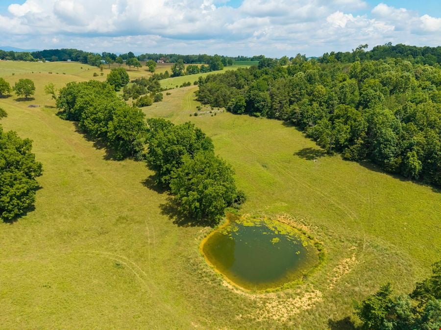 110-ACRES OF SCENIC RECREATIONAL & FARM LAND