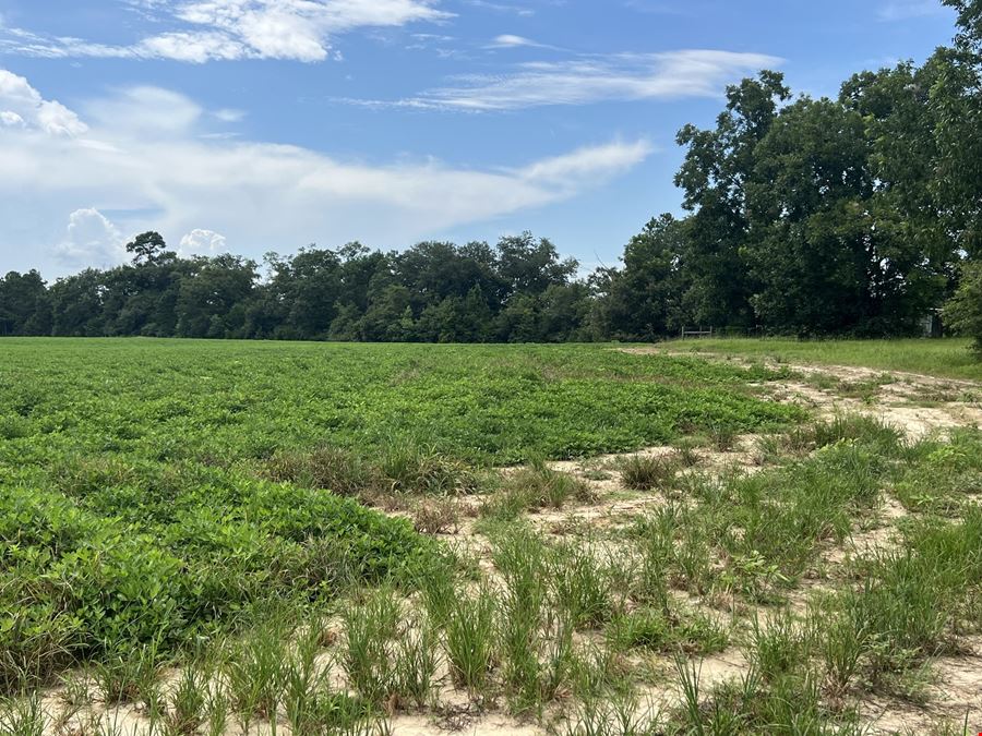 35 acres Farmland- Marianna, FL