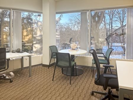 Preview of Coworking space for Rent at 411 Theodore Fremd Avenue Suite 206 South