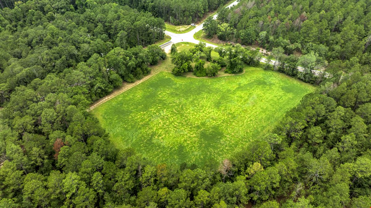 Beasley Homeplace 'Tract 1A'