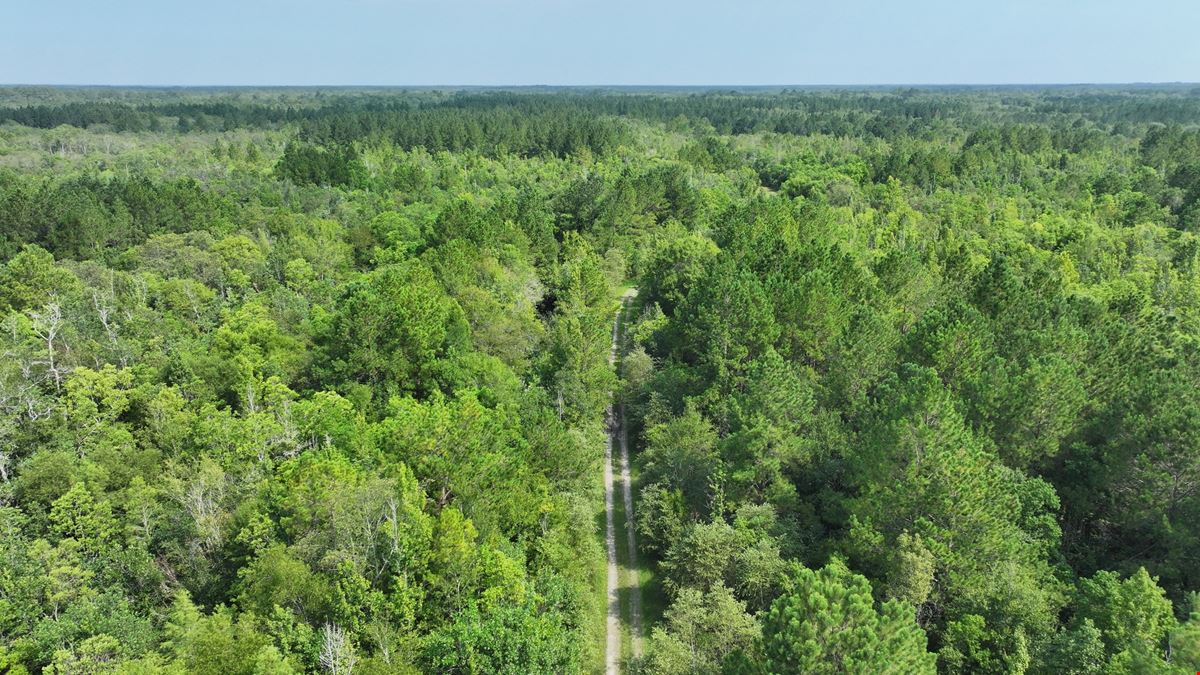 Satilla River Bottom Timberlands