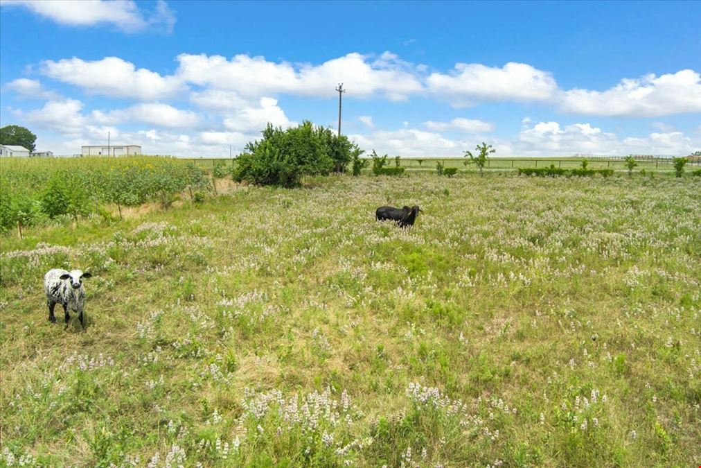 6.02 Acres on Seven Mile Lane | Riesel, Texas