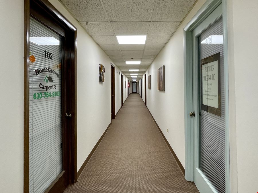 Downtown Geneva Office
