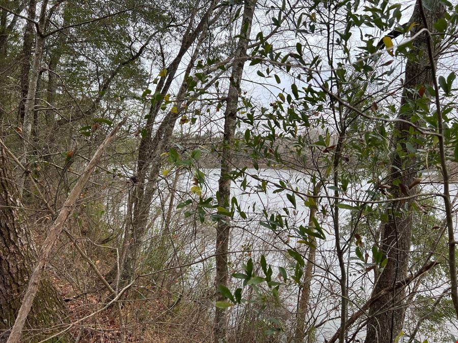 89 Acres in Early County, GA : Riverfront Property with Cabin and Outstanding Hunting Land