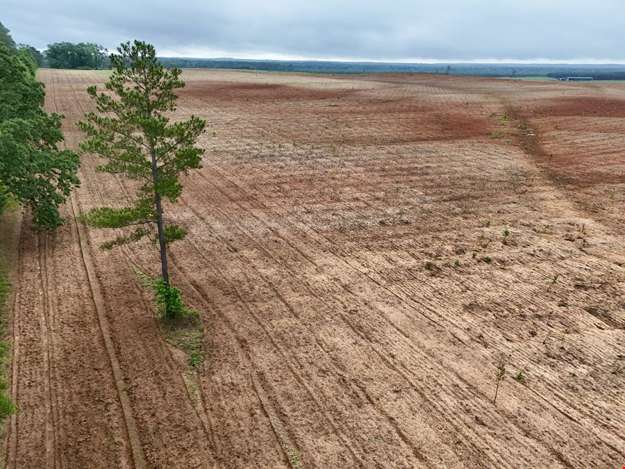 County Line Pasture Land