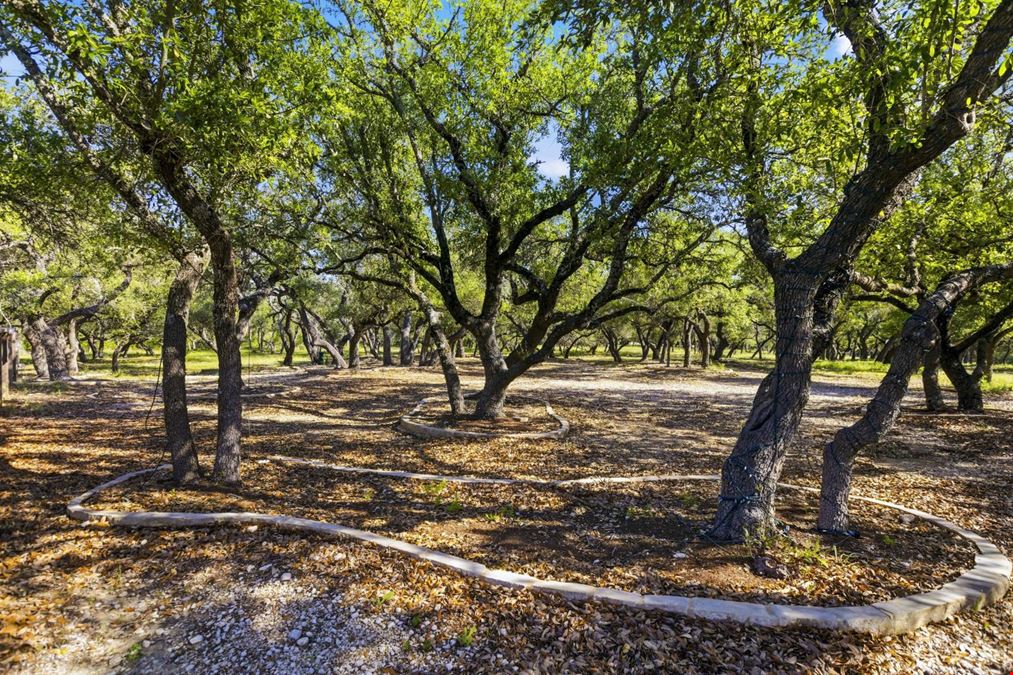 Hamilton Pool Road Mixed Use Development