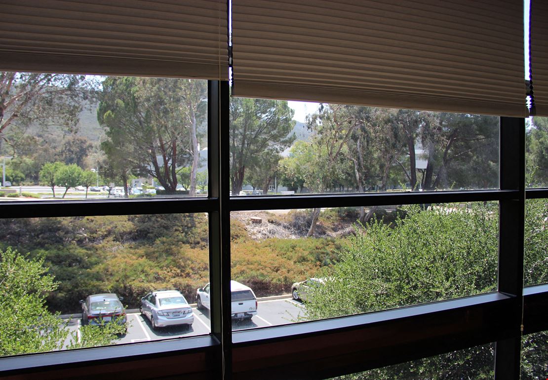 Single Oak Center