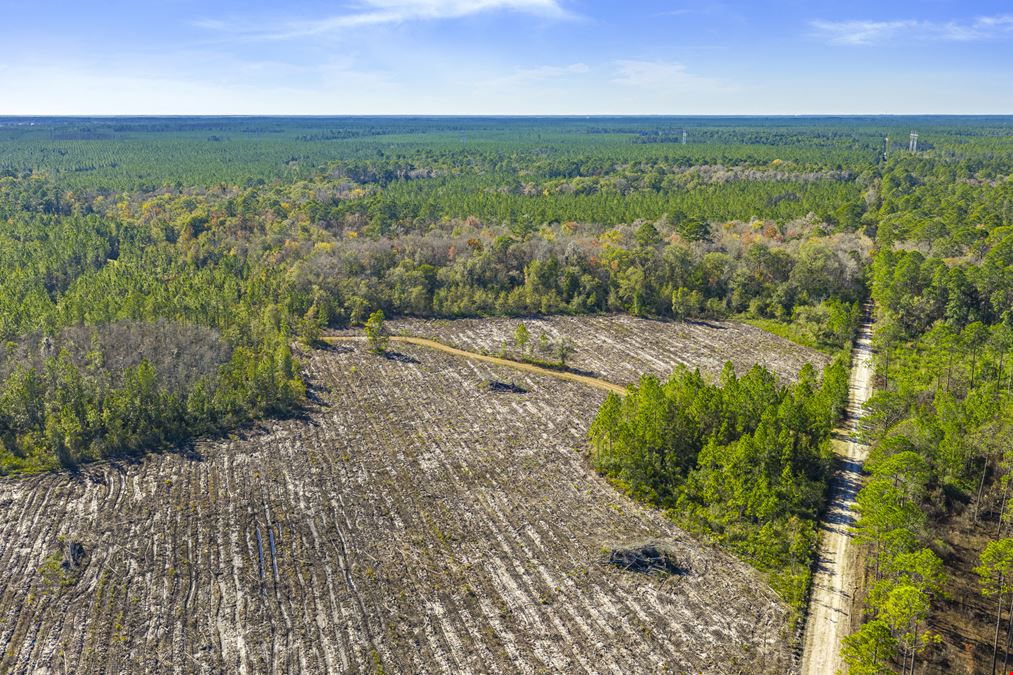 Clay County Timber and Recreation