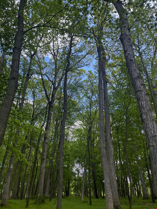 31.4 Acres of Private Recreational Land – Grass Lake/Sharon Township