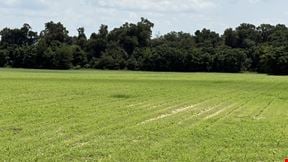 19± Acres in Bascom, FL – Ideal Homesite or Hobby Farm