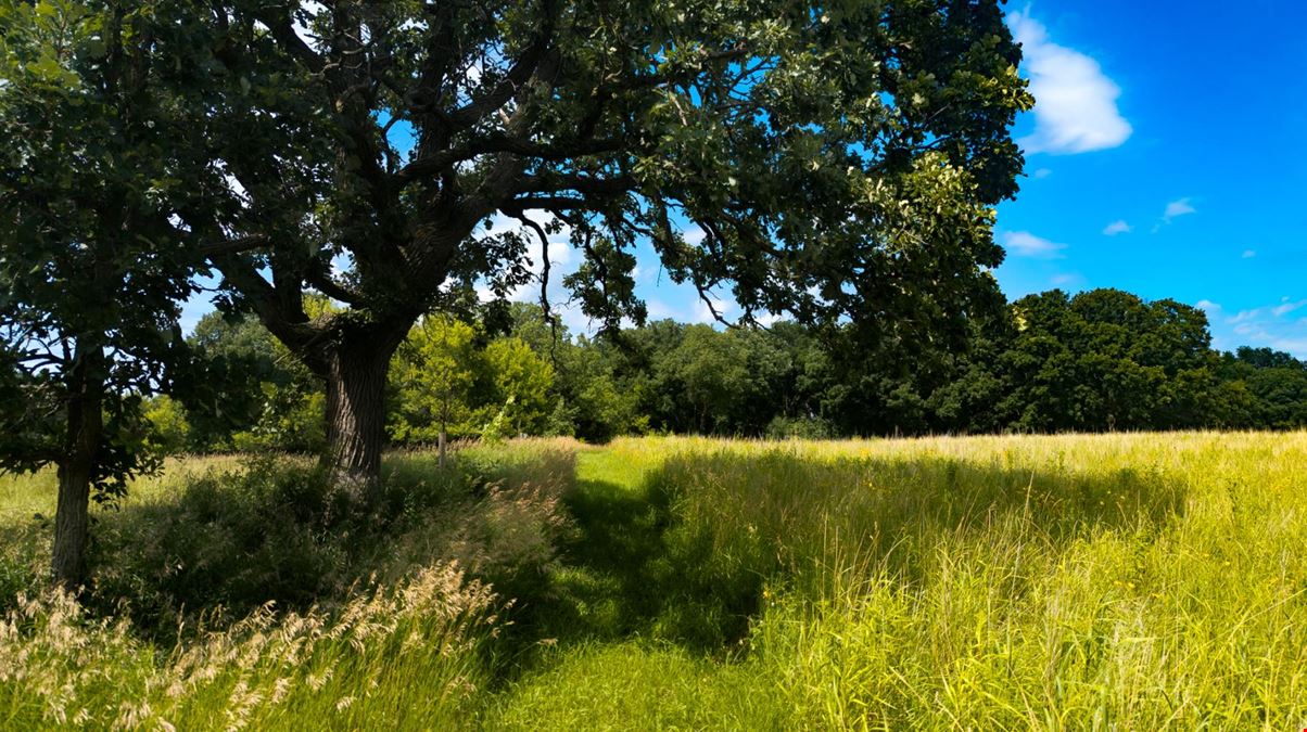 Rochester Premier 35 Acre Estate