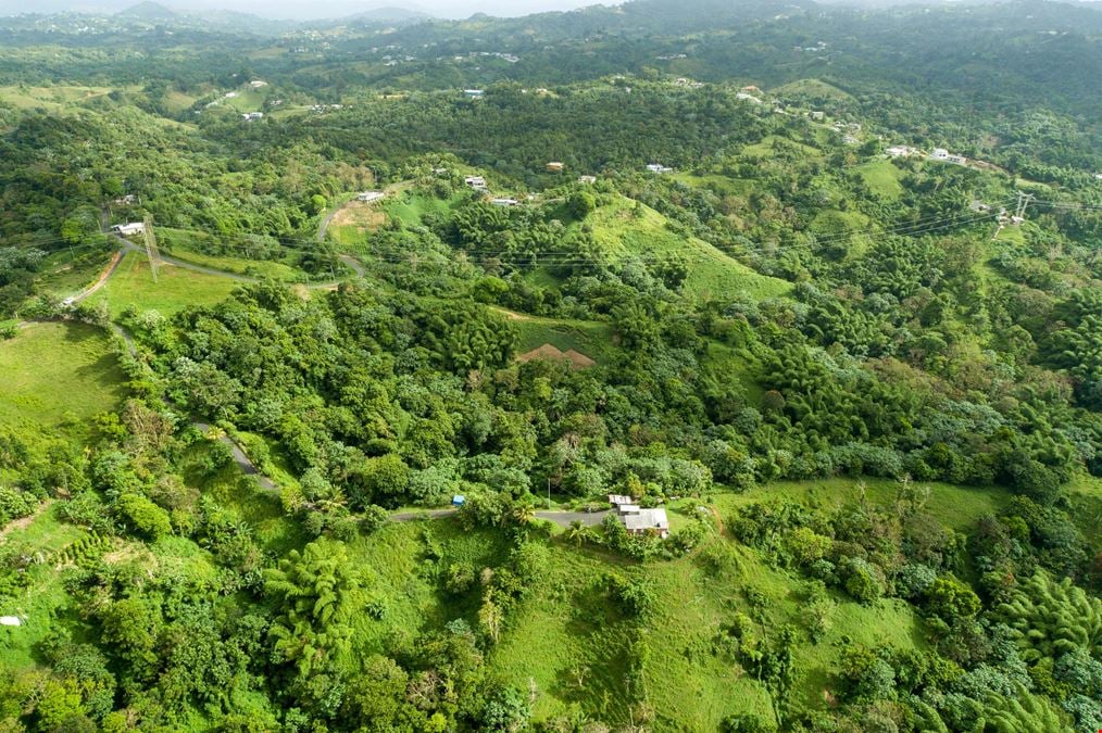 Yabucoa Land For Sale