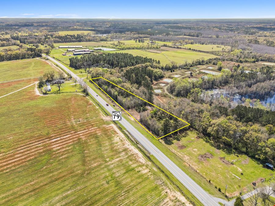 Bonifay SR-79 Frontage Land