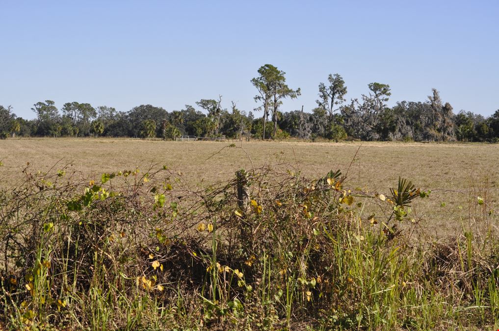 Palm Lake Ranch