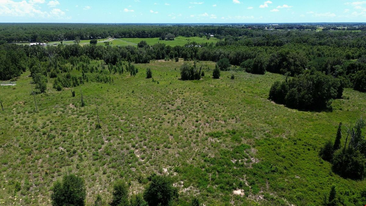 25.5 +/- Acres in Horse Country