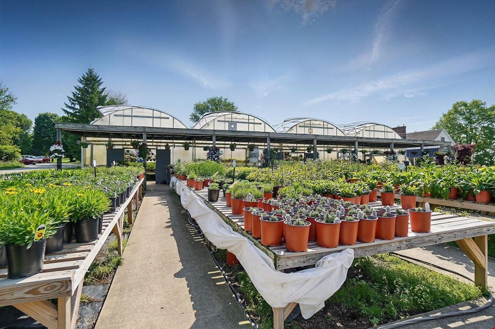 Robin's Nursery & Greenhouse