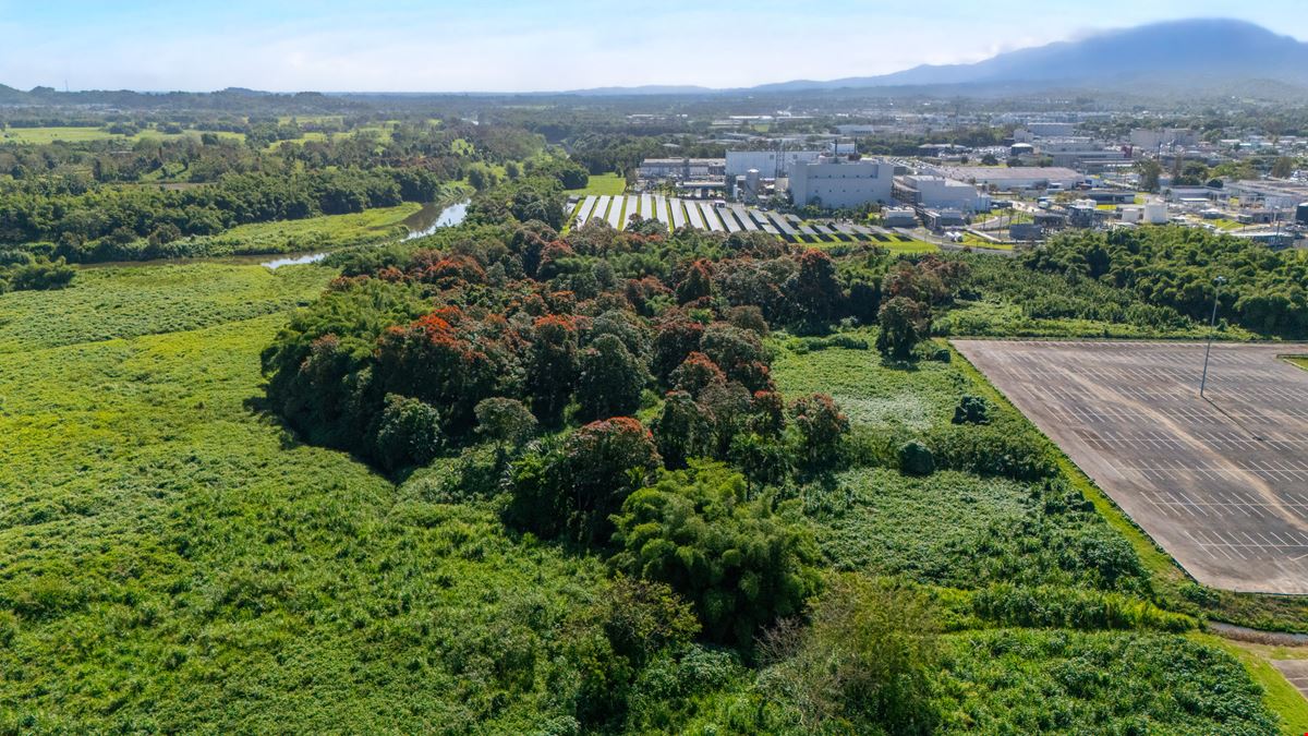 Carolina Prime Commercial Land - North of PR-3 - For Sale