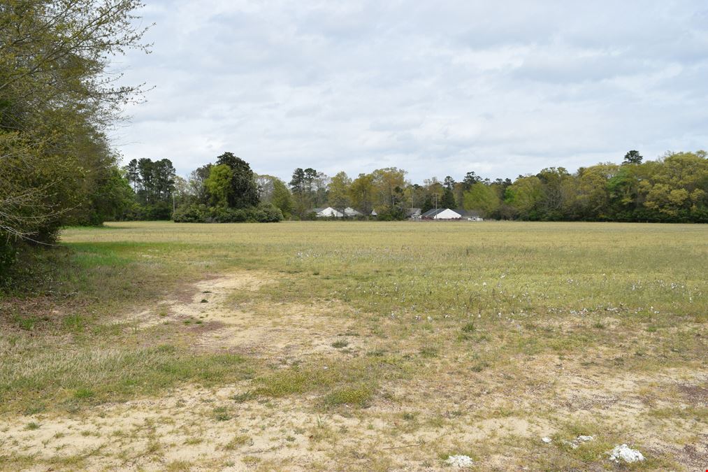 Thoroughbred Run Tract