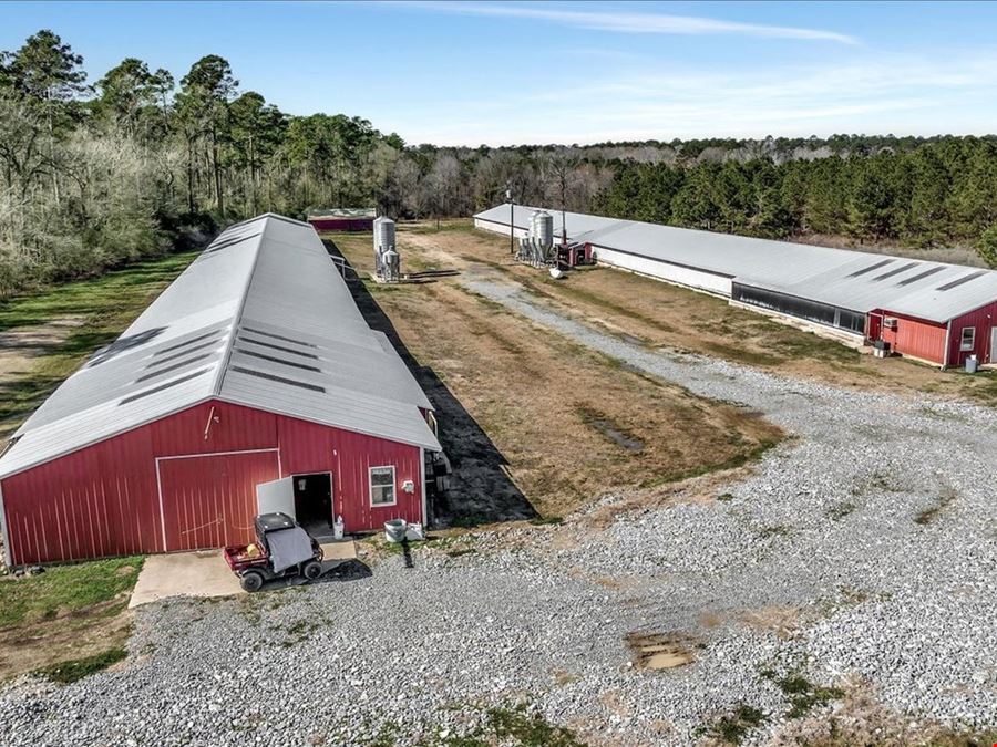 Tyson Breeder Farm