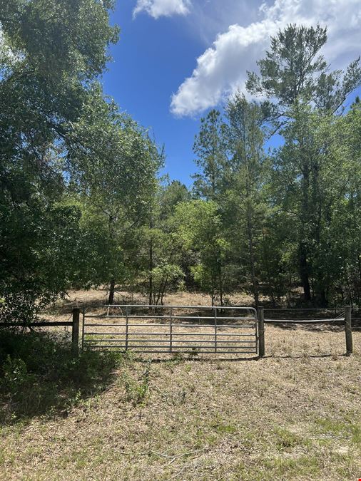 Citrus County 189 Acres