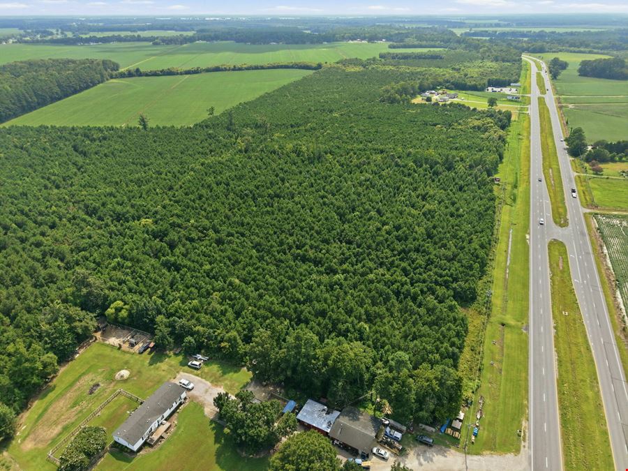 Prime Commercial Development Land on US Highway 17 | Hertford NC