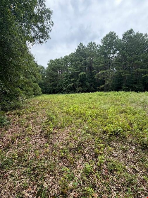 Dub Walker Rd - 314.47 Acres
