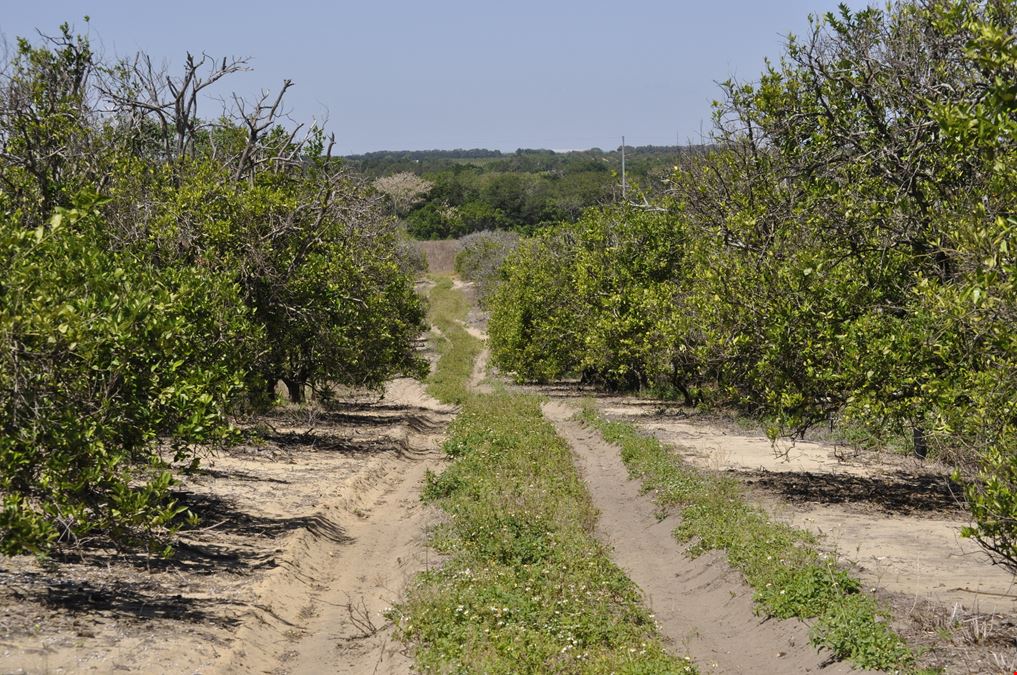 Garfield Nursery Road 20 Acres